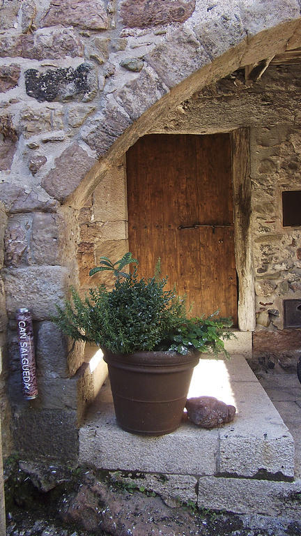 Can Salgueda Santa Pau Zimmer foto